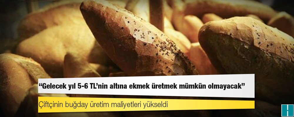 Ziraat mühendisi: Gelecek yıl 5-6 TL’nin altına ekmek üretmek mümkün olmayacak