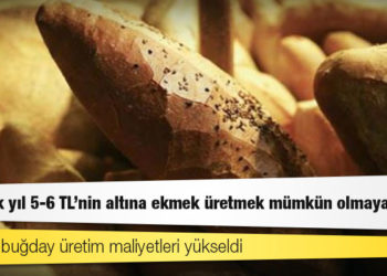 Ziraat mühendisi: Gelecek yıl 5-6 TL’nin altına ekmek üretmek mümkün olmayacak