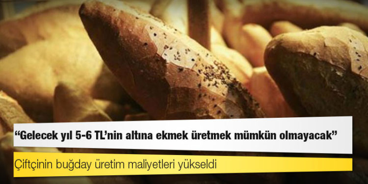 Ziraat mühendisi: Gelecek yıl 5-6 TL’nin altına ekmek üretmek mümkün olmayacak