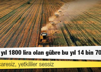 Çiftçi çaresiz, yetkililer sessiz: Geçen yıl 1800 lira olan gübre bu yıl 14 bin 700 lira