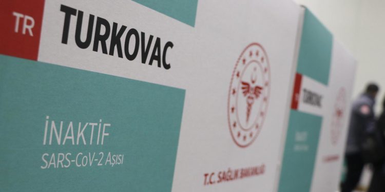 İlk Turkovac aşılarının analizi başladı