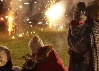 İngiltere'de hayvan hakları savunucuları: 'Havai fişek gösterileri yeniden düşünülmeli'