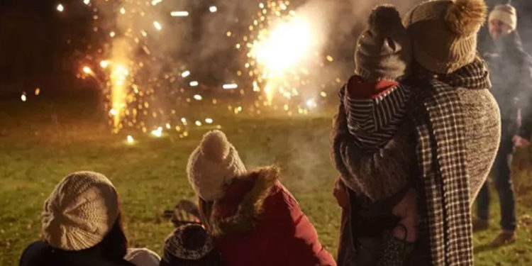 İngiltere'de hayvan hakları savunucuları: 'Havai fişek gösterileri yeniden düşünülmeli'