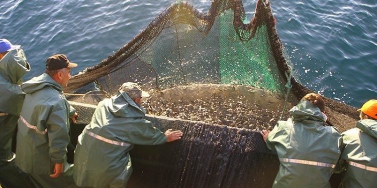 İstanbul'da balıkçılardan protesto: İki gün ava çıkmayacaklar