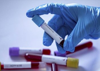 İzmir Tabip Odası Başkanı Çamlı: Çok fazla mutasyon her zaman kötü değil