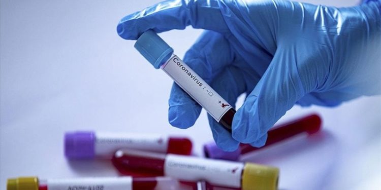 İzmir Tabip Odası Başkanı Çamlı: Çok fazla mutasyon her zaman kötü değil