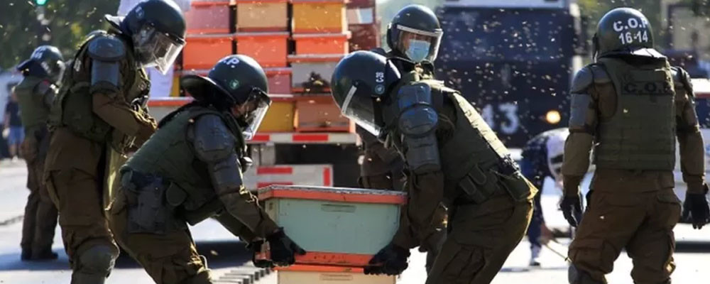 Şili’de arıcılar hükümeti protesto etti, yedi polisi arı soktu