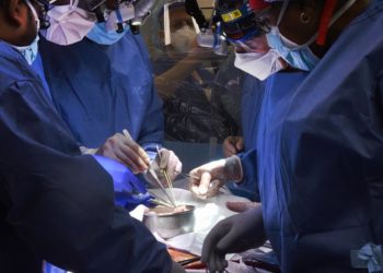 Tıpta bir ilk: Genetiği değiştirilen domuzdaki kalp insanda çalıştı, hasta ölümden döndü