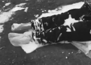 Afgan anne sınırda donarak öldü: Çocukları yaşasın diye kendi elbiselerini giydirmiş