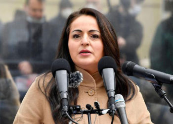 Almanya'daki ülkücü hareket 'Bozkurtlar' Alman milletvekilline saldırı planladı