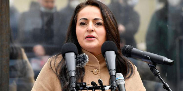 Almanya'daki ülkücü hareket 'Bozkurtlar' Alman milletvekilline saldırı planladı