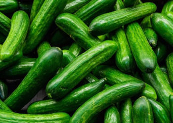 Aralıkta en çok salatalığın fiyatı arttı