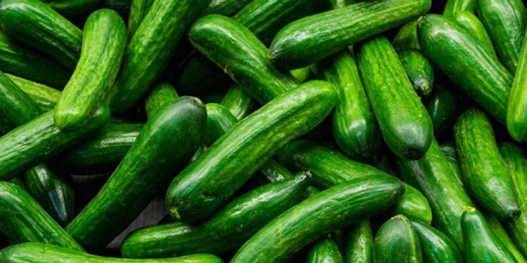 Aralıkta en çok salatalığın fiyatı arttı