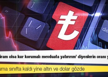 Araştırma: '100 bin liram olsa kur korumalı mevduata yatırırım' diyenlerin oranı yüzde 5