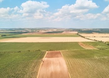 Arsa, tarla ve iş yeri satışları 2021'de tüm zamanların rekorunu kırdı