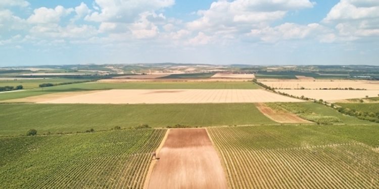 Arsa, tarla ve iş yeri satışları 2021'de tüm zamanların rekorunu kırdı