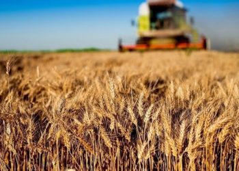 Artan fiyatlarla çiftçi zirai ilaçlara ulaşamıyor