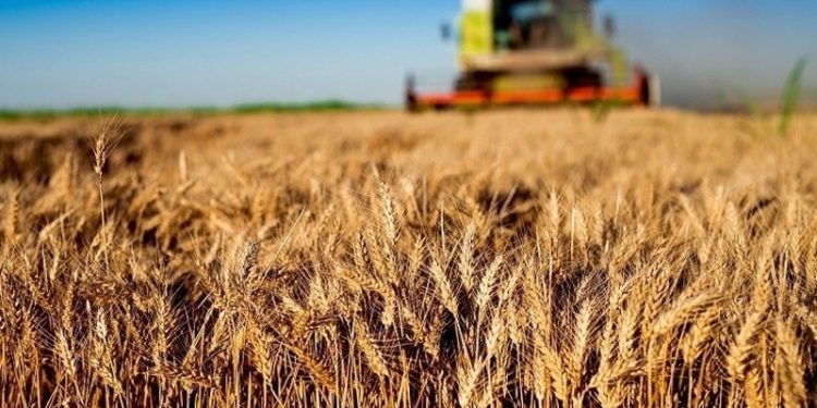 Artan fiyatlarla çiftçi zirai ilaçlara ulaşamıyor