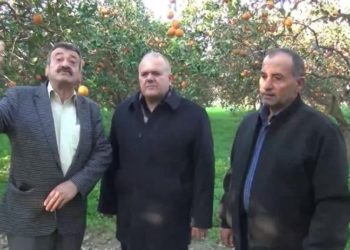 Aydınlı üreticiler: Portakalı soran yok, tüketim yarıya indi