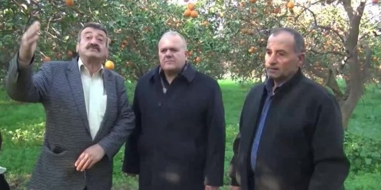 Aydınlı üreticiler: Portakalı soran yok, tüketim yarıya indi