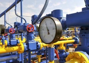 Bakan Dönmez'den kademeli fiyat açıklaması