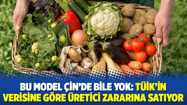 Bu model Çin’de bile yok: TÜİK’in verisine göre üretici zararına satıyor