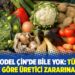 Bu model Çin’de bile yok: TÜİK’in verisine göre üretici zararına satıyor