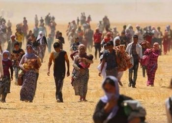 CATS raporu: Kontrolsüz göç Türkiye için katlanılamaz hale geldi