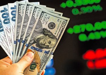 CHP’li Toprak: Dövize endeksli tüm garantiler Cumhurbaşkanı kararıyla TL’ye çevrildi