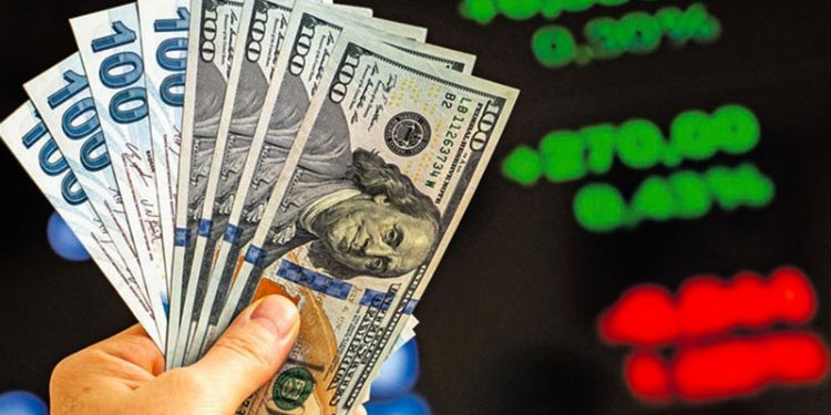 CHP’li Toprak: Dövize endeksli tüm garantiler Cumhurbaşkanı kararıyla TL’ye çevrildi