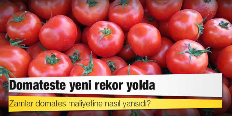 CHP’li vekil hesapladı: Zamlar domates maliyetine nasıl yansıdı?