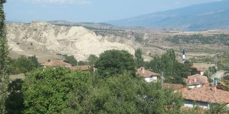 Cumhurbaşkanı kararı: Bazı alanlar orman sınırları dışına çıkarıldı