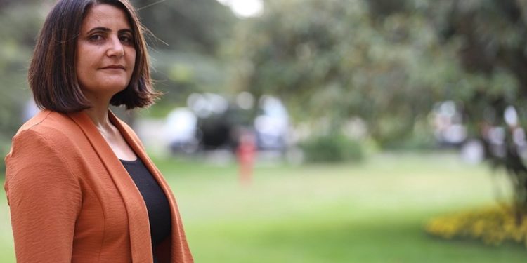 Dirayet Taşdemir: Asker gücüyle kaçak kazı yapılıyor