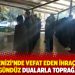 Ege Denizi’nde vefat eden ihraç savcı İbrahim Gündüz dualarla toprağa verildi
