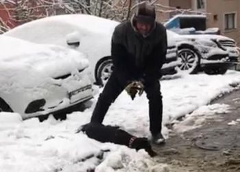 Elektrik akımına kapılan köpek öldü; sahibi gözyaşlarını tutamadı