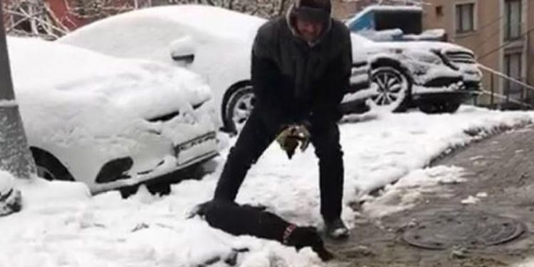 Elektrik akımına kapılan köpek öldü; sahibi gözyaşlarını tutamadı