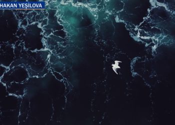 Enes, Bahadır… Talasofobi