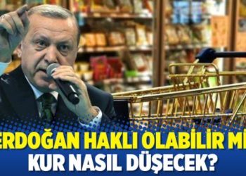 Erdoğan haklı olabilir mi; kur nasıl d&uuml;şecek?