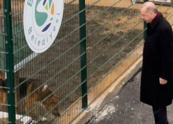 Erdoğan'dan hayvan barınağı ziyareti