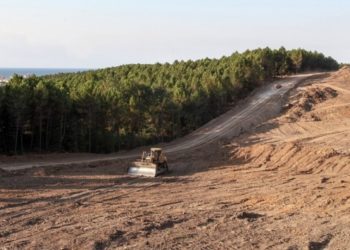 Erdoğan&rsquo;ın imzasıyla 156 futbol sahası b&uuml;y&uuml;kl&uuml;ğ&uuml;ndeki alan orman sınırından &ccedil;ıkarıldı