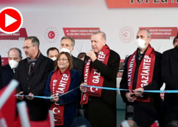 Erdoğan’ın rektörü sorduğu Fatma Şahin: Çok kötü, çok kötü! Tam bir deli