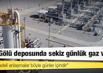 Eski BOTAŞ Genel Müdürü Yardım: Tuz Gölü deposunda sekiz günlük gaz var