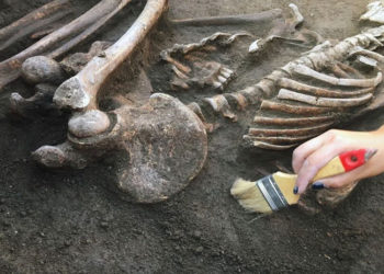 Etiyopya'da yeni keşif insanlık tarihini değiştirdi