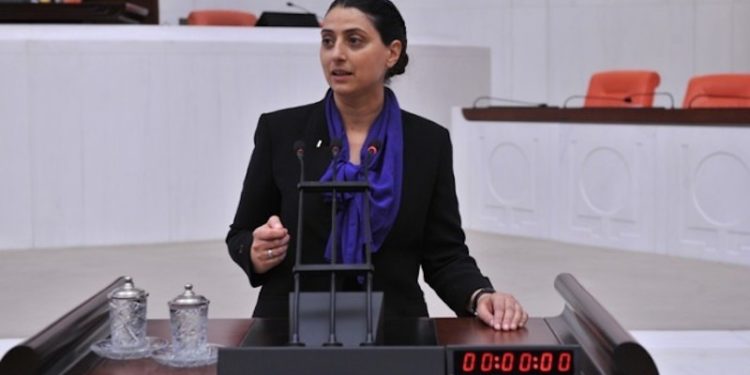 Feleknas Uca: Ömer Güney Ankara'da kimlerle görüştü?