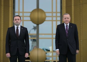 Gürcistan, Türkiye’nin başlattığı 3+3 toplantılarına katılmayacak