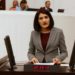Güzel’den Soylu’ya: Uyuşturucu ile yakalanan M.K adlı kişinin rütbeli askerlerce korunduğu doğru mu?