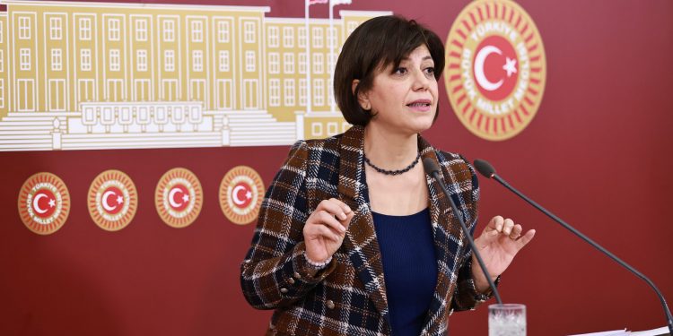 HDP’li Beştaş sokak müzisyenlerine destek için mecliste Kürtçe şarkı söyledi