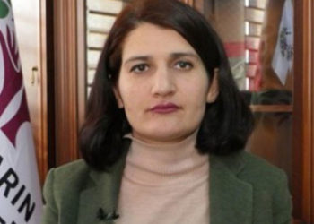 HDP’li Semra Güzel hakkında hazırlanan fezleke Cumhurbaşkanlığı’na gönderildi