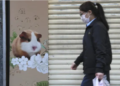 Hong Kong, 11'inin Covid testi pozitif çıkınca binlerce hamsterı itlaf etme kararı aldı