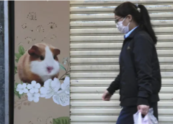 Hong Kong, 11'inin Covid testi pozitif çıkınca binlerce hamsterı itlaf etme kararı aldı